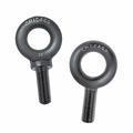 Forged Eye Bolts
