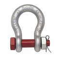 Forged Shackles