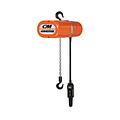 Electric Chain Hoists